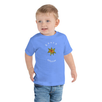 Lo Fi Cartoon Explosion Toddler Short Sleeve Tee